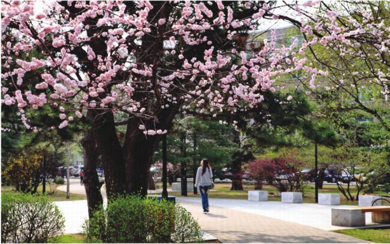 沈阳农业大学