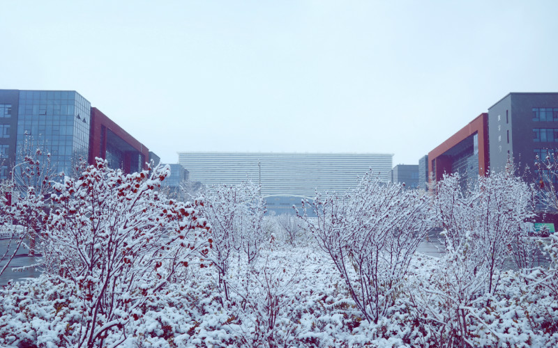 甘肃中医药大学