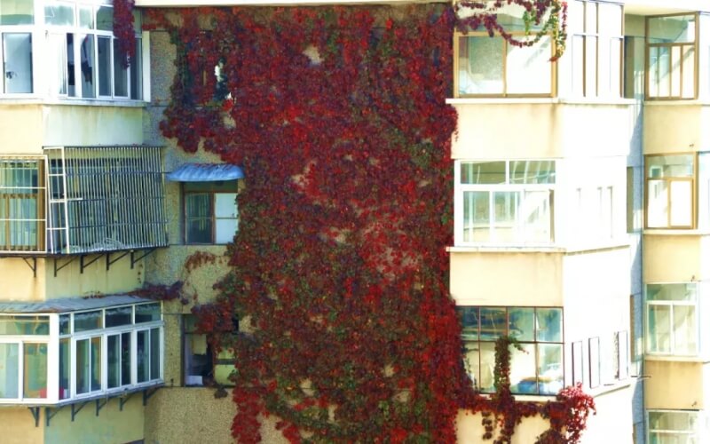 天水师范学院