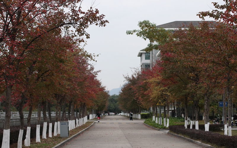 福建江夏学院