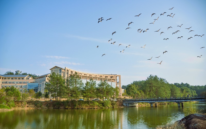 武夷学院