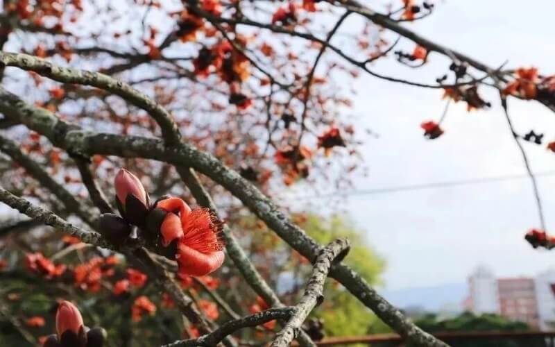 闽南师范大学