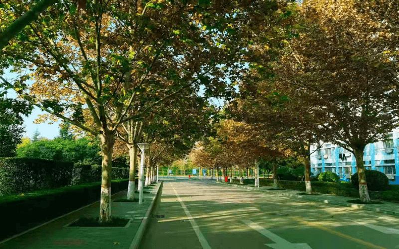 陕西服装工程学院