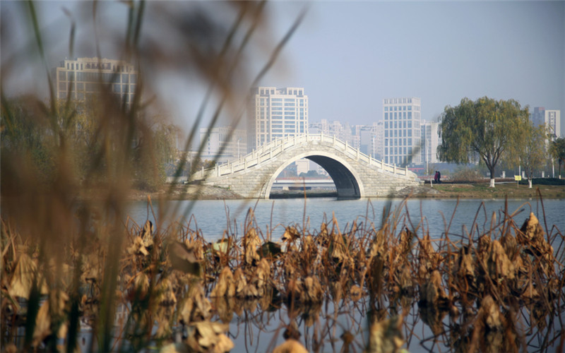 湖南文理学院