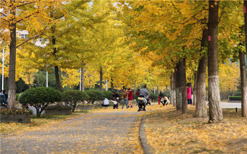 浙江农林大学