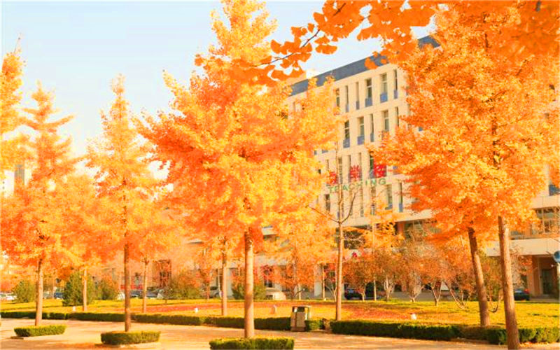 山东畜牧兽医职业学院