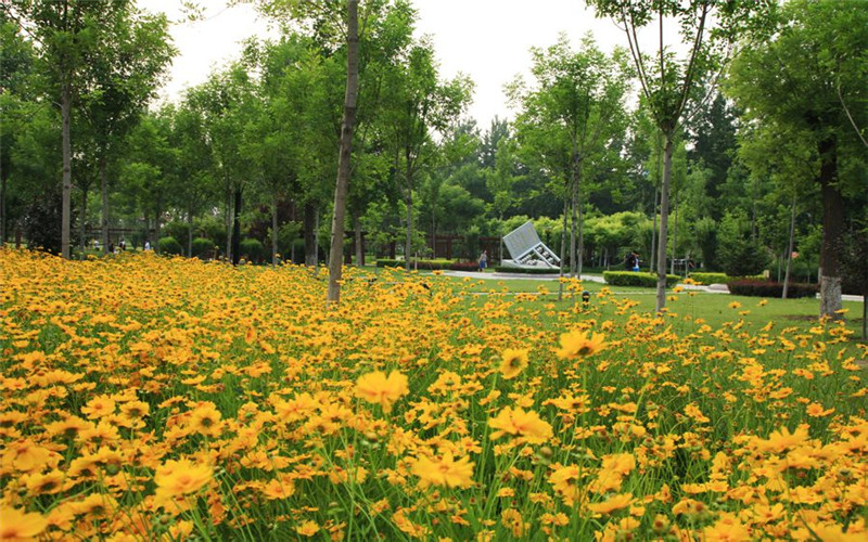 山东经贸职业学院