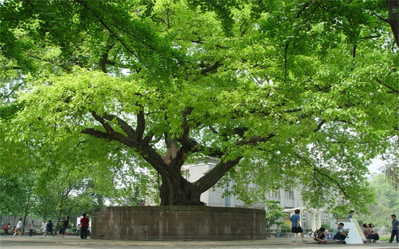 宜宾职业技术学院