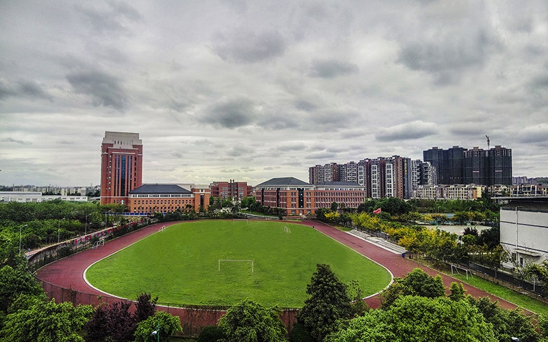 四川文化产业职业学院