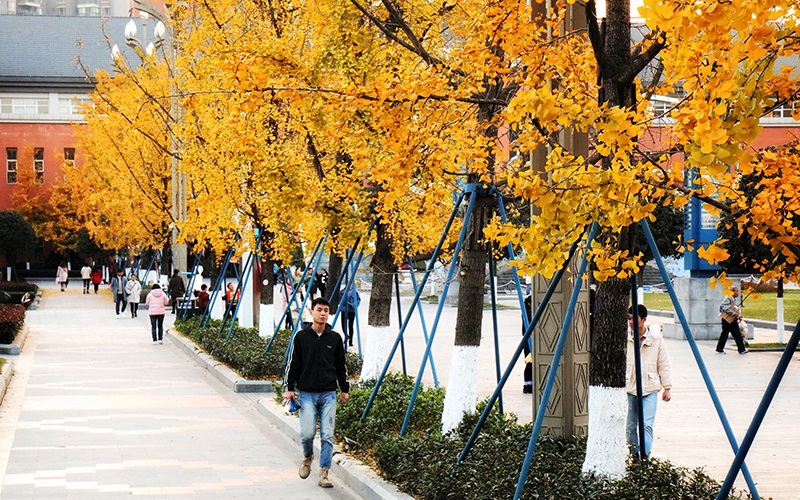 四川文化产业职业学院