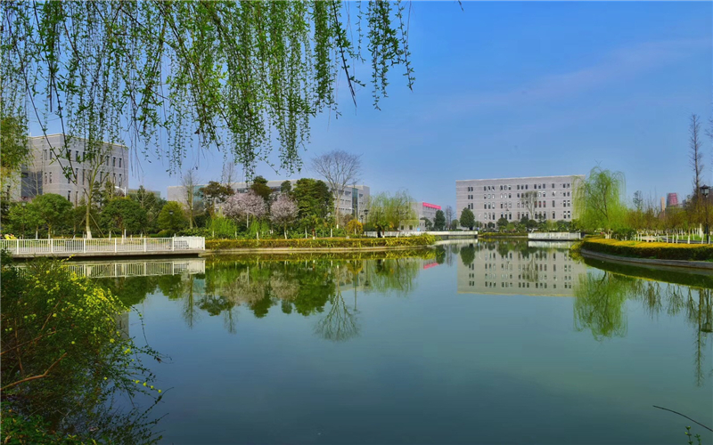 民办四川天一学院