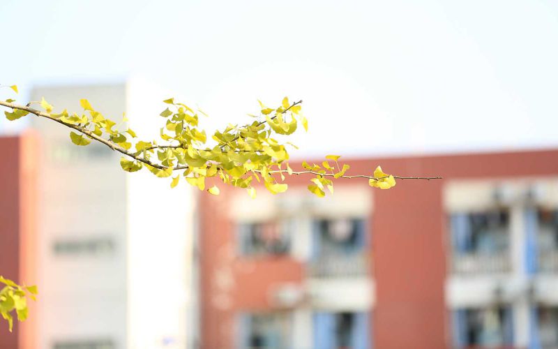 四川幼儿师范高等专科学校