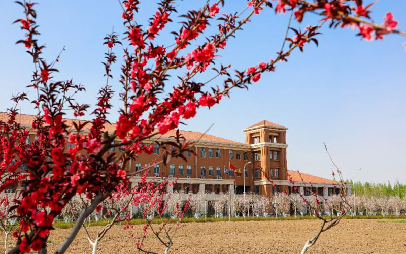 天津中德应用技术大学