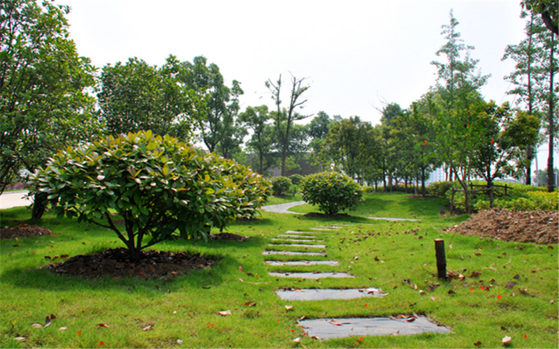 安徽城市管理职业学院