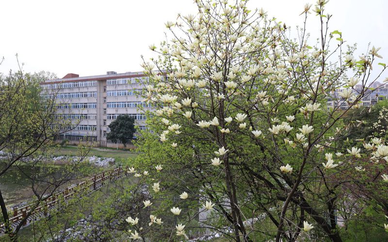 池州职业技术学院