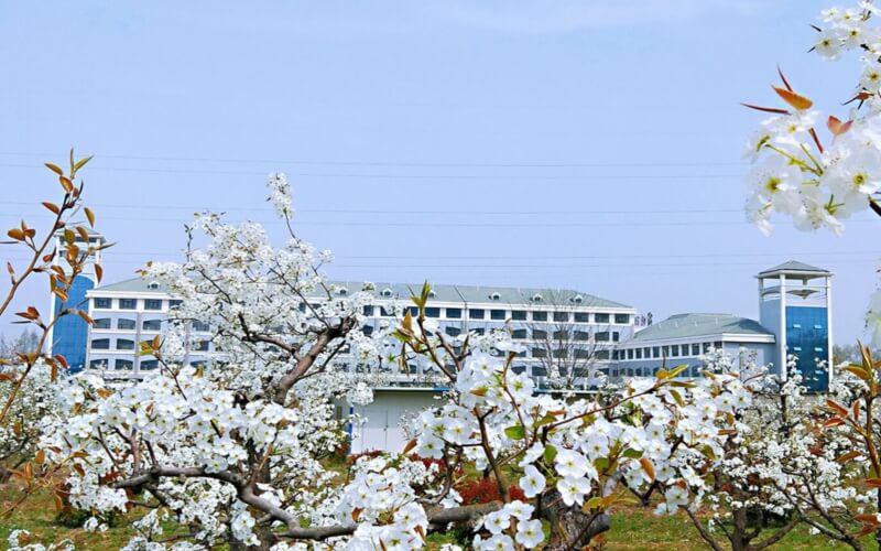 宿州职业技术学院