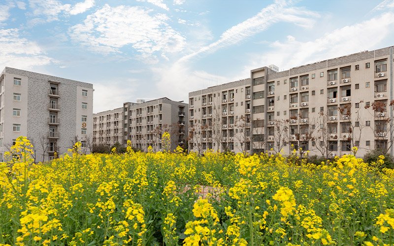 湖北城市建设职业技术学院