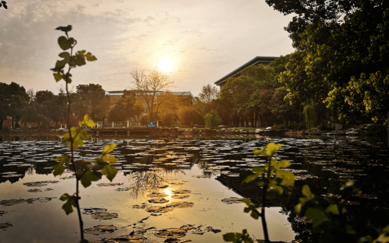 武汉外语外事职业学院