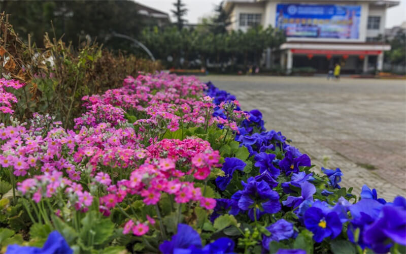 重庆海联职业技术学院