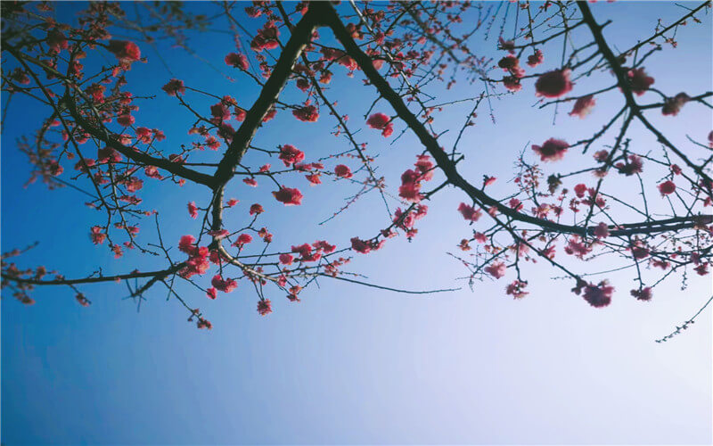 重庆三峡职业学院