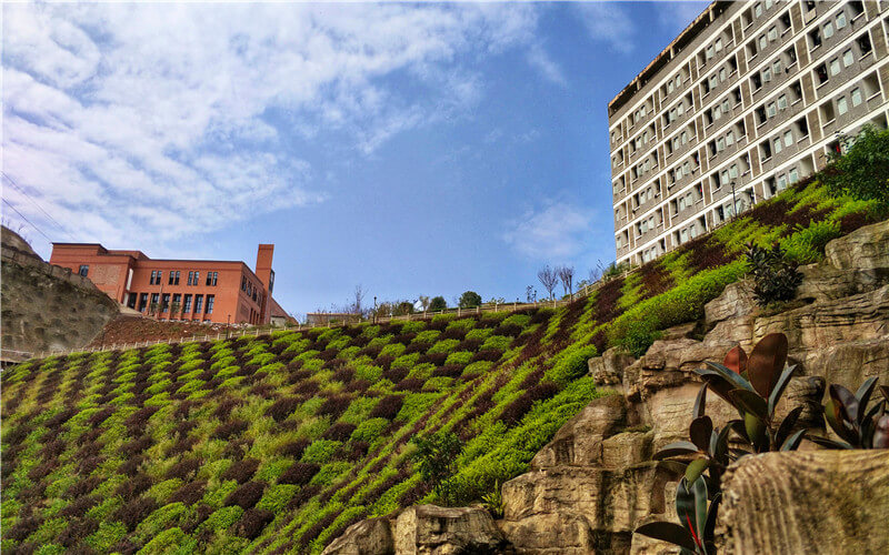 重庆建筑工程职业学院