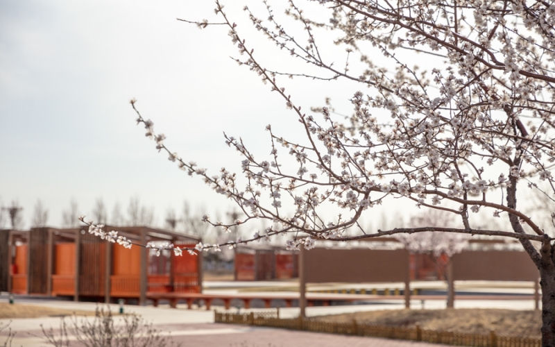 盘锦职业技术学院