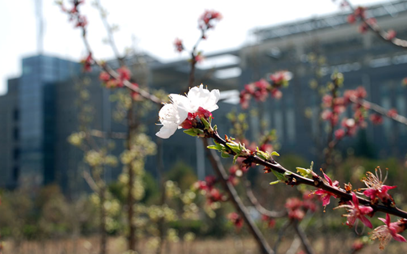 运城职业技术大学