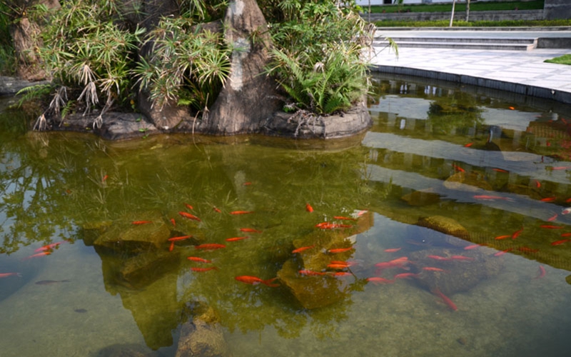 福建农业职业技术学院