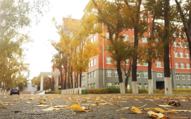 黑龙江交通职业技术学院