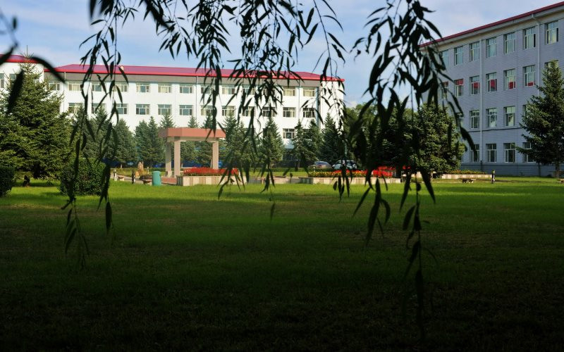 大庆职业学院