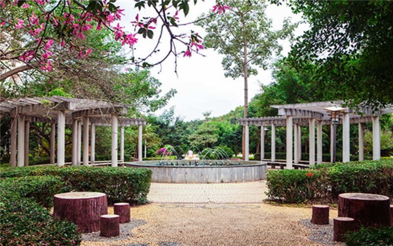 广西城市职业大学