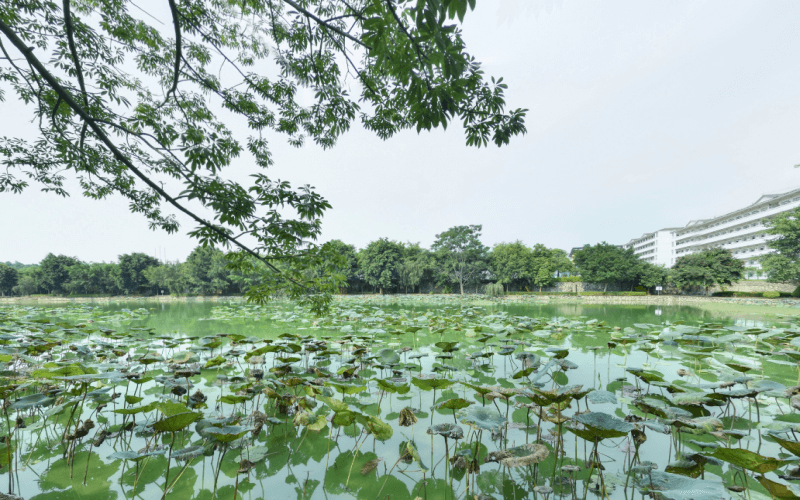 广西经济职业学院