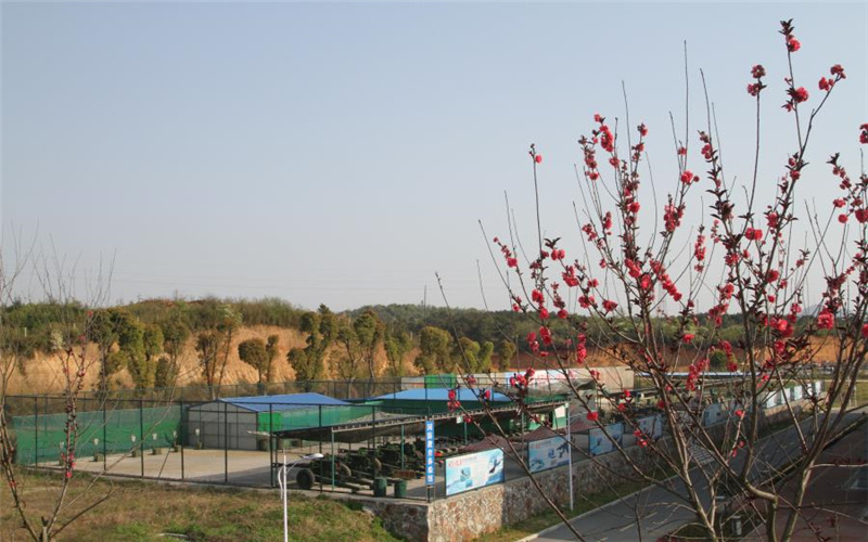 岳阳职业技术学院