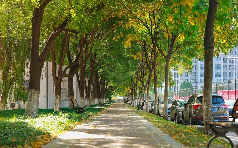 浙江育英职业技术学院