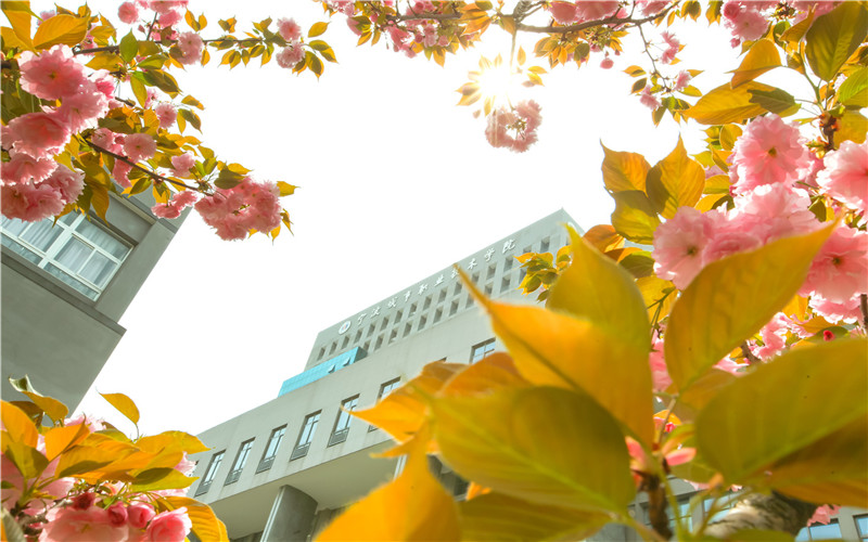 宁波城市职业技术学院