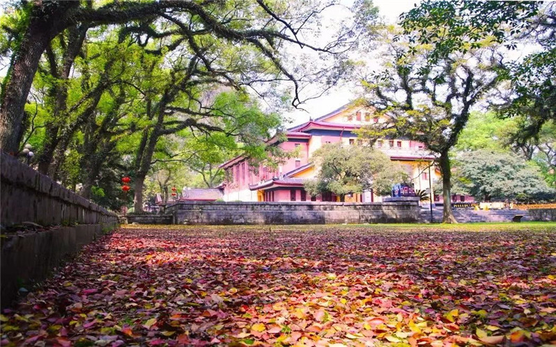 广西师范大学