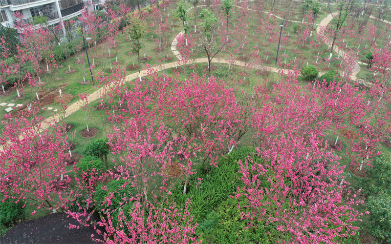 广西中医药大学