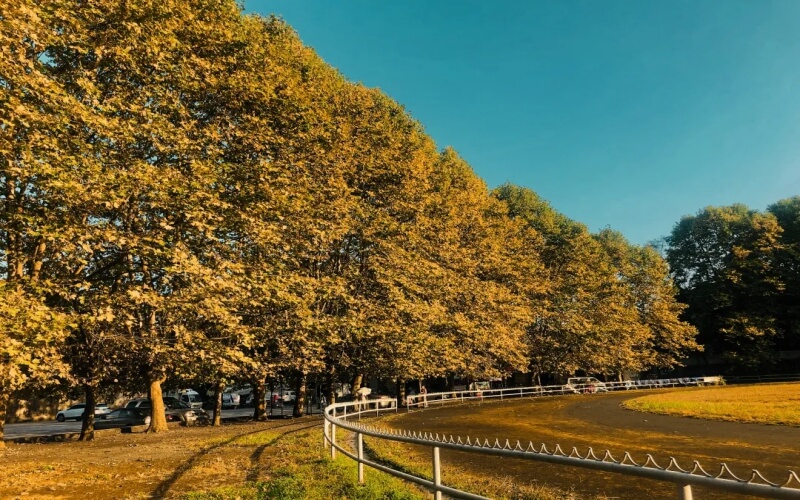 贵州大学