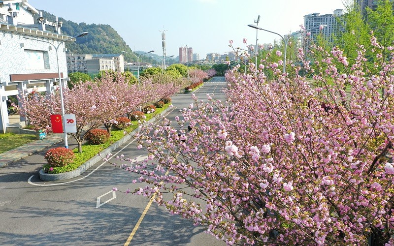 黔南民族师范学院