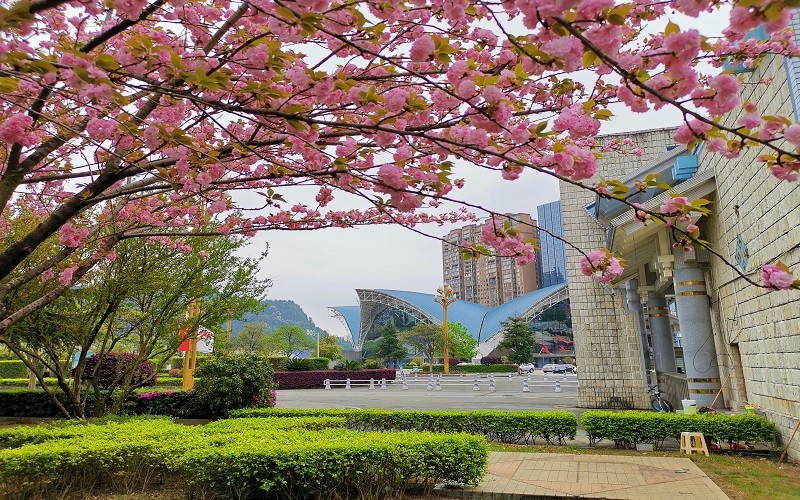 黔南民族师范学院