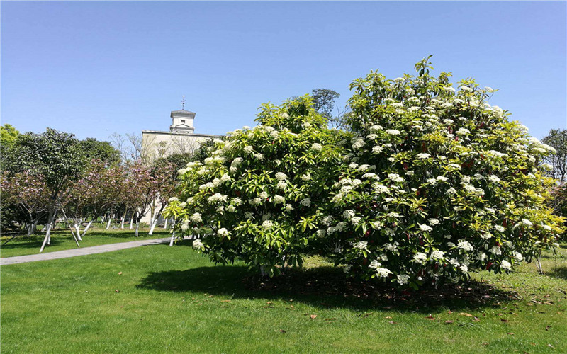 宁波诺丁汉大学