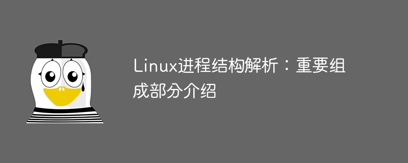 Linux进程结构解析：重要组成部分介绍