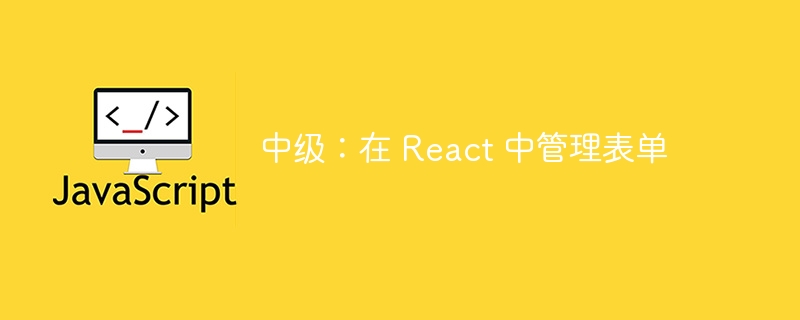 中级：在 React 中管理表单