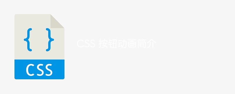 CSS 按钮动画简介