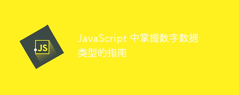 JavaScript 中掌握数字数据类型的指南