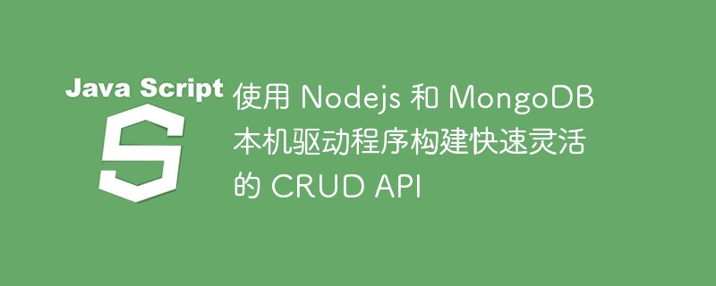 使用 Nodejs 和 MongoDB 本机驱动程序构建快速灵活的 CRUD API