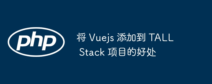 将 Vuejs 添加到 TALL Stack 项目的好处