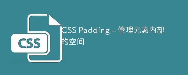 CSS Padding – 管理元素内部的空间