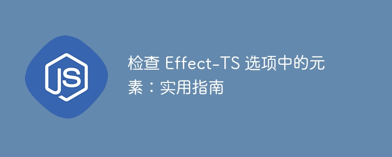 检查 Effect-TS 选项中的元素：实用指南