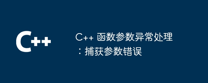 C++ 函数参数异常处理：捕获参数错误